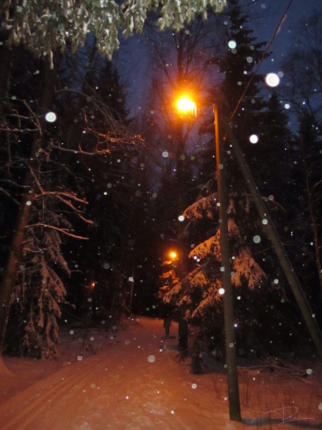 Snowing.. :D