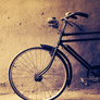 Old Bicycle