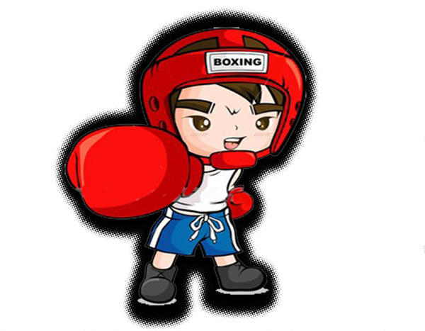 The Boxer