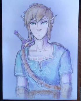 link (breath of the wild)