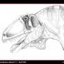 Acrocanthosaurus V 1.1. Head P