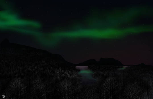 Northern Light / Aurora