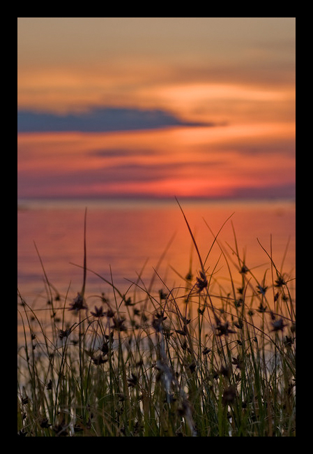 A Warm Summer Evening