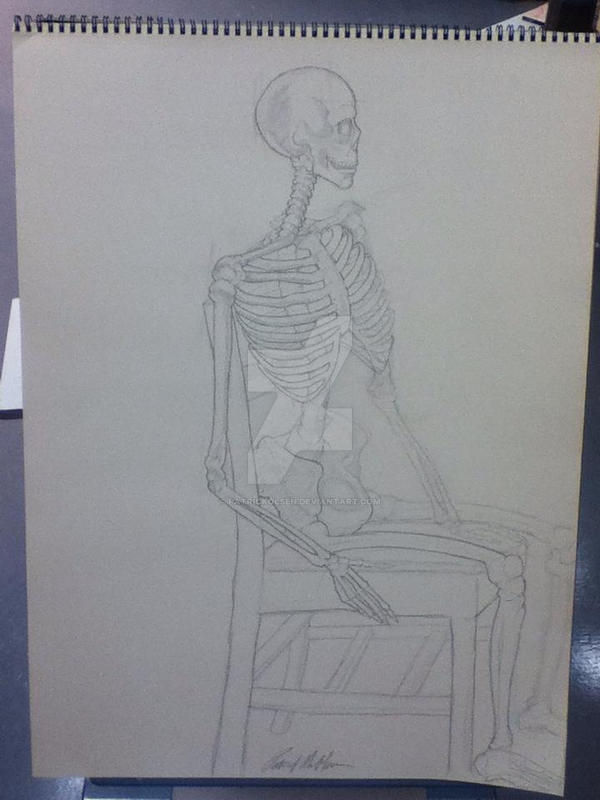 Skeleton anatomy study_pencil