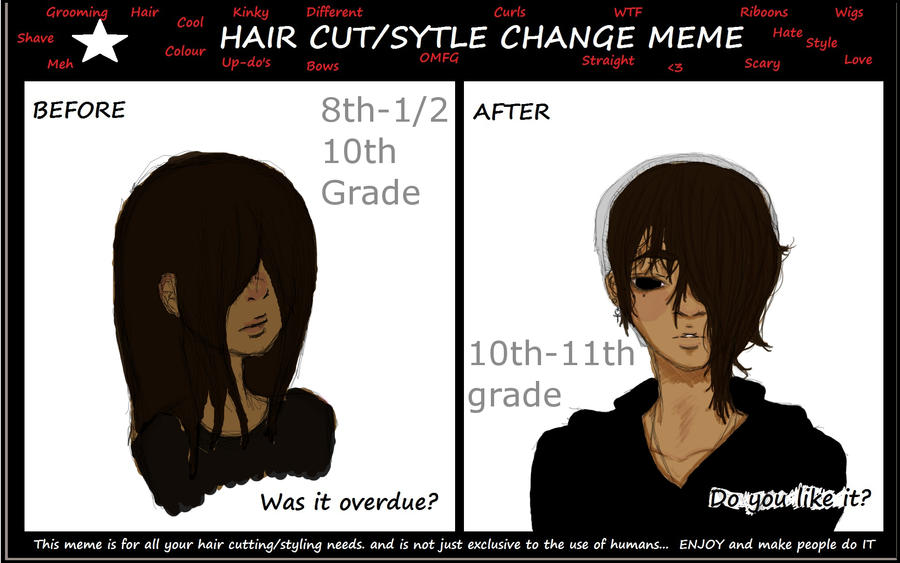 Hairstyle Meme by Zed-Parade on DeviantArt