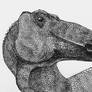 Anatotitan