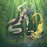 Pond Danse - Mermay 2025