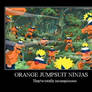 Orange Jumpsuit Ninjas