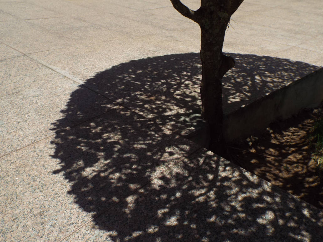 Flipped tree by argemirogarcia on DeviantArt