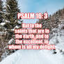 Bible PSALM 16: 3