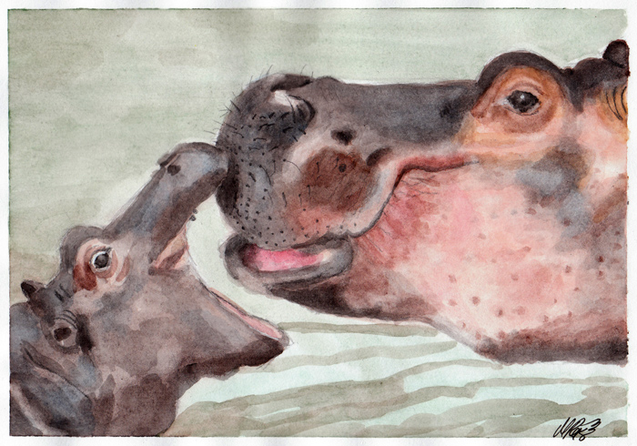 Hippos