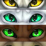 Warriors Eyes #2