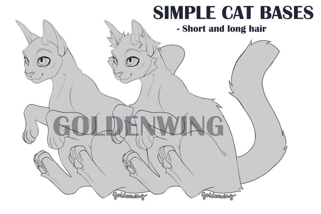 P2U Cat Bases by Goldenwing672 on DeviantArt