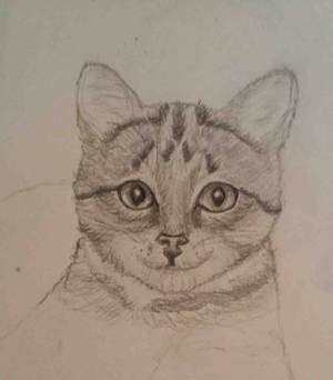 I Can't Draw Cats (wip)