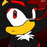 Shadow the Hedgehog