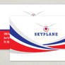 Private Pilot Business Card