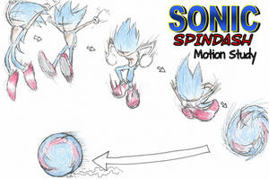 Sonic Spindash - Motion Study