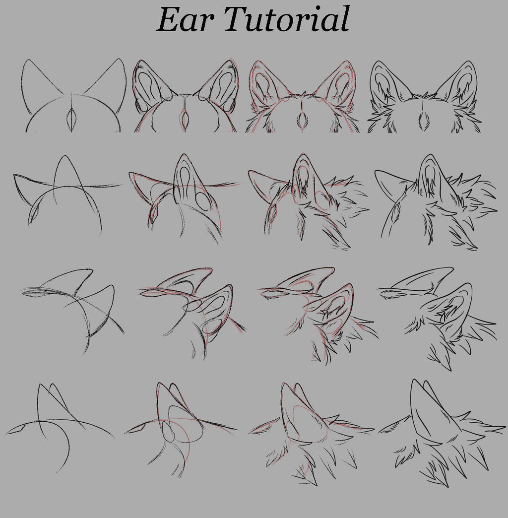 Ear Tutorial by ToxicTheWolf94 on DeviantArt