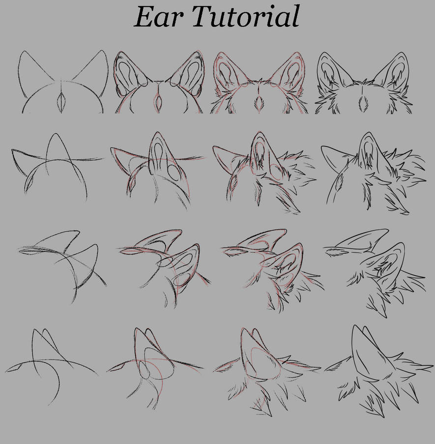 Ear Tutorial by ToxicTheWolf94 on DeviantArt