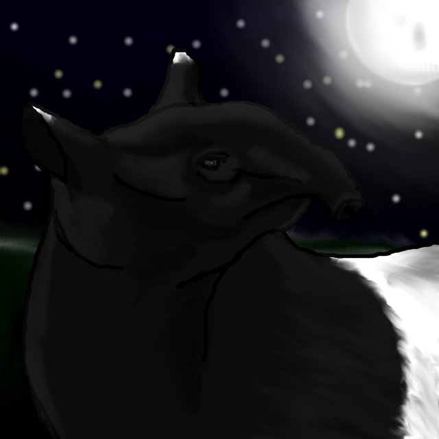 Night of the Tapir