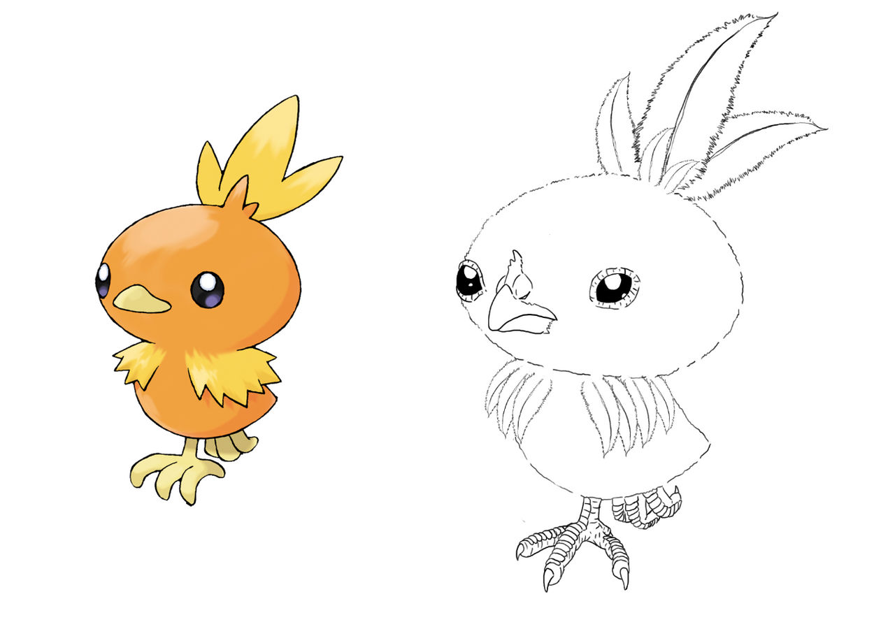 Torchic Doctor Disturbingly realistic Torchic by mrHermann on DeviantArt