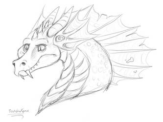 A dragon doodle