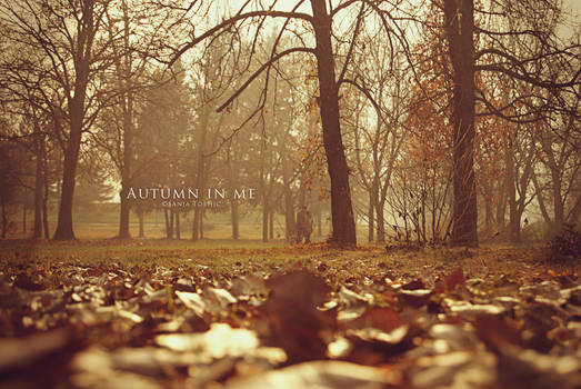 Autumn In Me