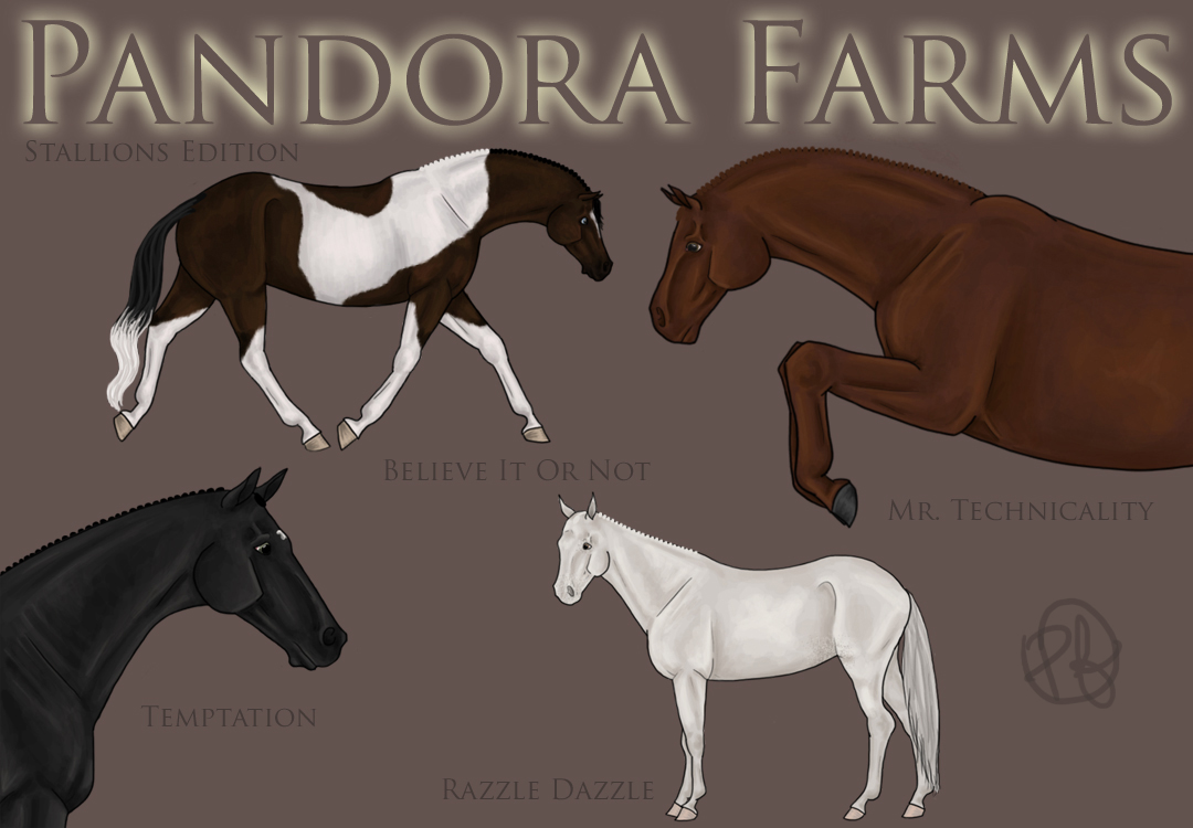 Pandora Farms Stallions Ed