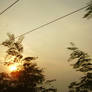 sunset..from train...