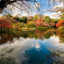 Japanese Garden