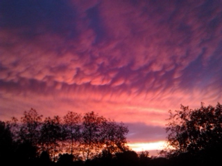 Pink Morning sunrise