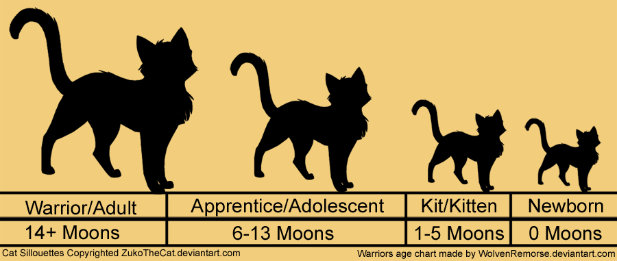 Warriors Age Chart