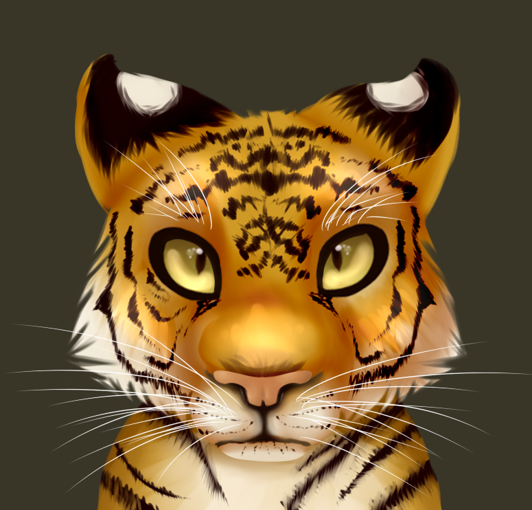 Tiger Practice