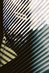 Blinds