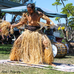 Hawaiian dancer 2