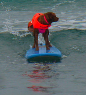 surfer girl