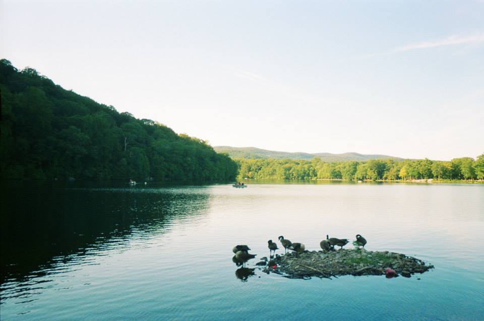 Bear Mountain in the Summertime