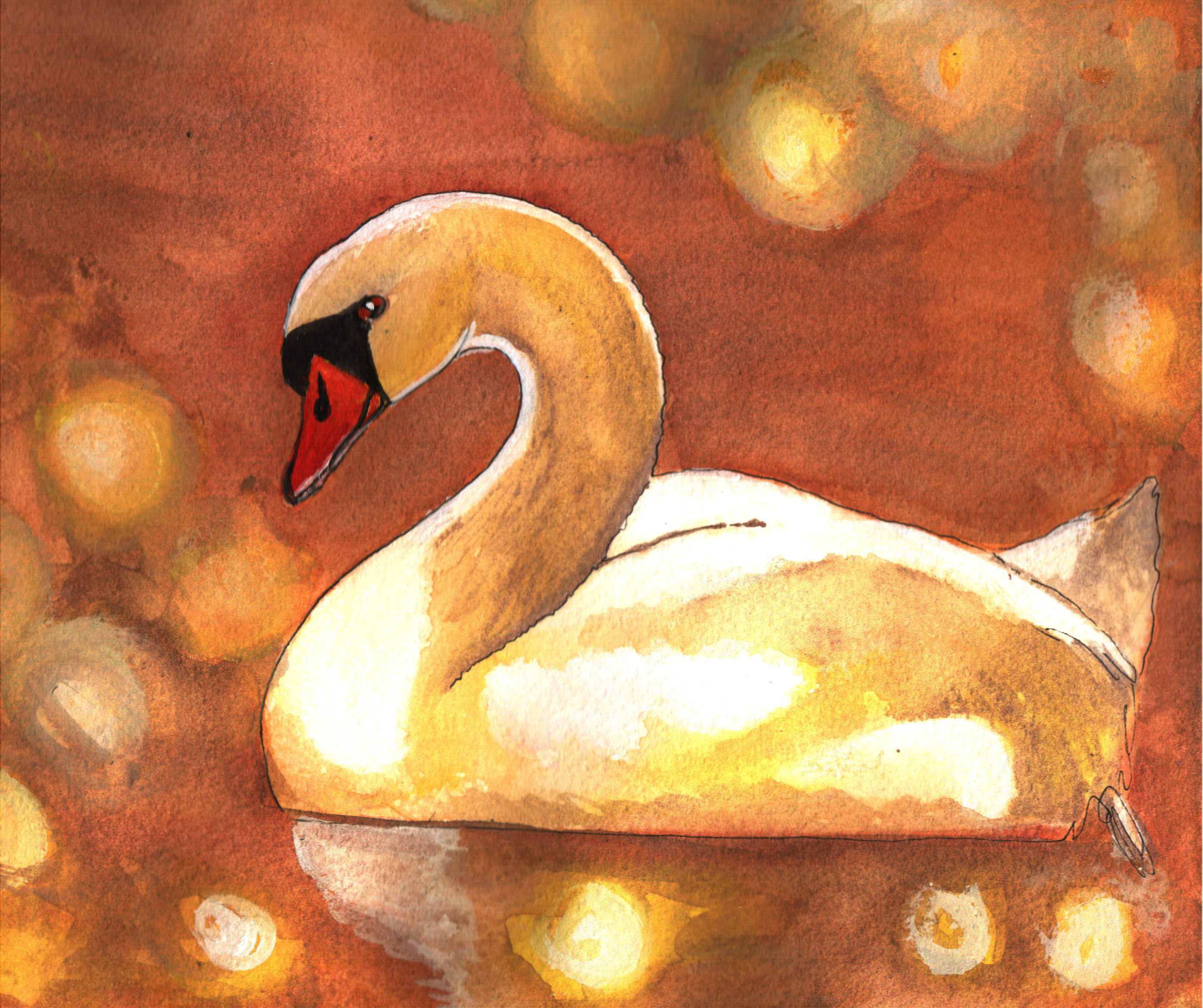 White Swan