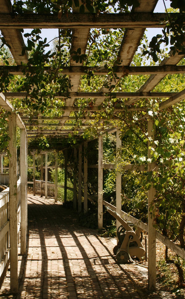 Turtle Path by QuickStopMe on DeviantArt