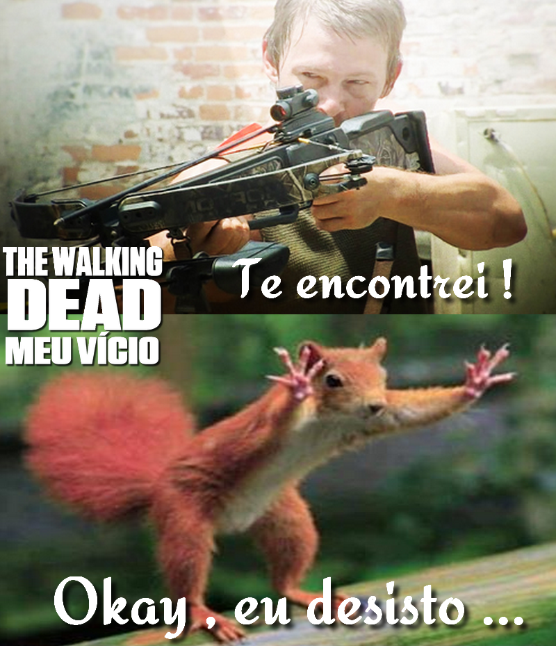 Piadas De Esquilos 100 Humor Amino