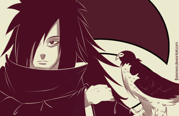 Falconer Madara