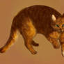 Squirrelflight