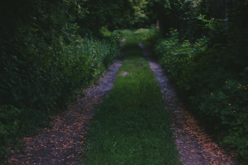 Path into the unknown by dammmmit on DeviantArt