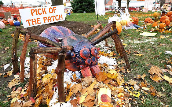 A Giant Pumpkin Spider eating a hand