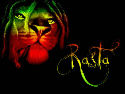 rasta lion