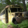 Overgrown Bus