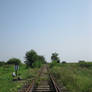 Summer railway