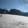 Field under snow 4