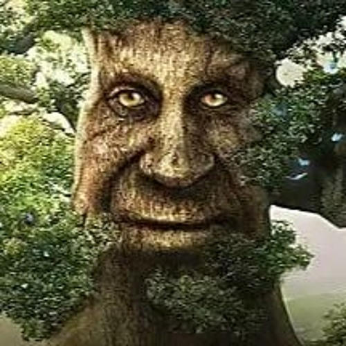 wise mythical tree by Catalanfromandorra on DeviantArt