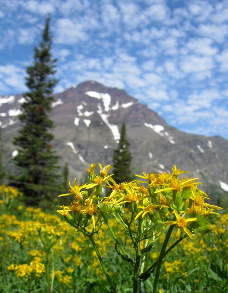 Glacier National Park